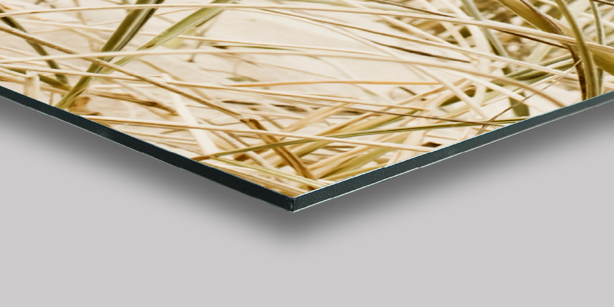 Nahaufnahme Alu-Dibond Fotodruck mit Grasmotiv