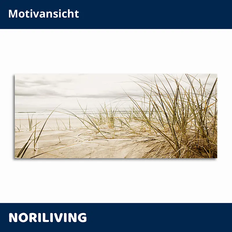 Panorama Wandbild Stranddünen mit Strandgras